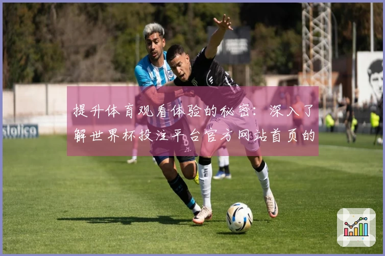 提升体育观看体验的秘密:深入了解世界杯投注平台官方网站首页的使用技巧