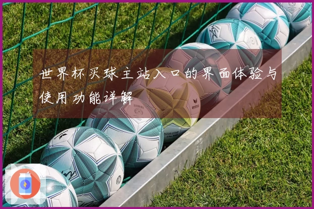 世界杯买球主站入口的界面体验与使用功能详解