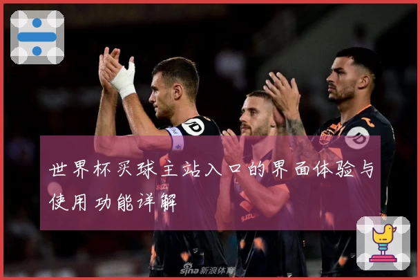 世界杯买球主站入口的界面体验与使用功能详解