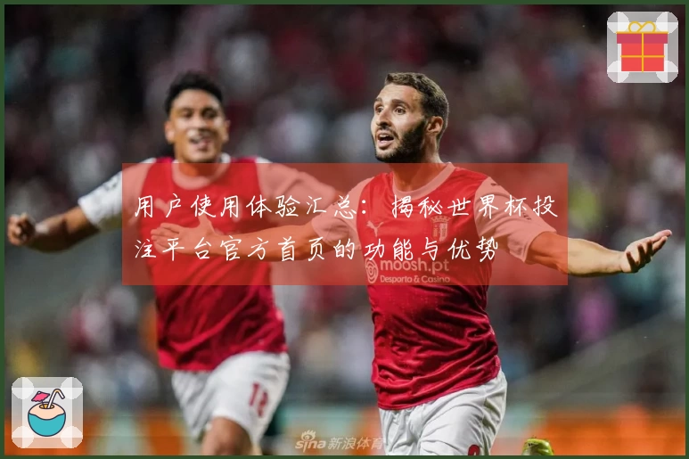 用户使用体验汇总：揭秘世界杯投注平台官方首页的功能与优势